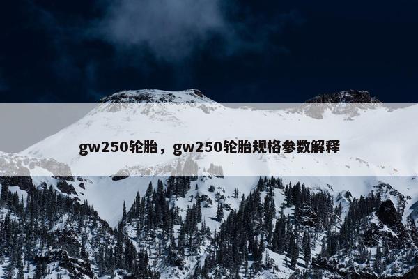 gw250轮胎，gw250轮胎规格参数解释