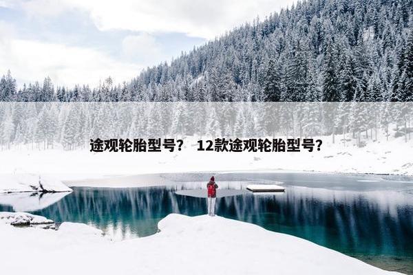 途观轮胎型号？ 12款途观轮胎型号？