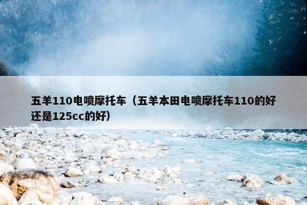 五羊110电喷摩托车（五羊本田电喷摩托车110的好还是125cc的好）