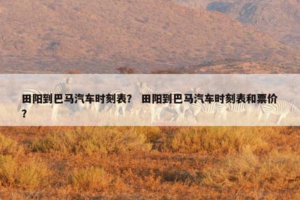 田阳到巴马汽车时刻表？ 田阳到巴马汽车时刻表和票价？