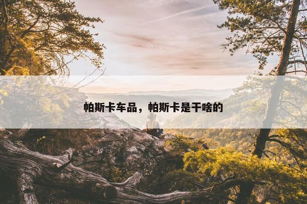 帕斯卡车品，帕斯卡是干啥的