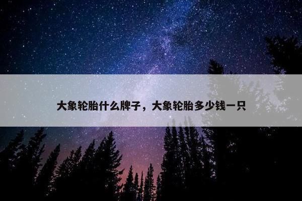 大象轮胎什么牌子，大象轮胎多少钱一只