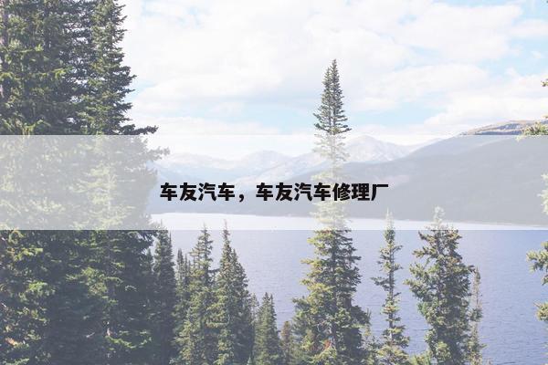 车友汽车，车友汽车修理厂