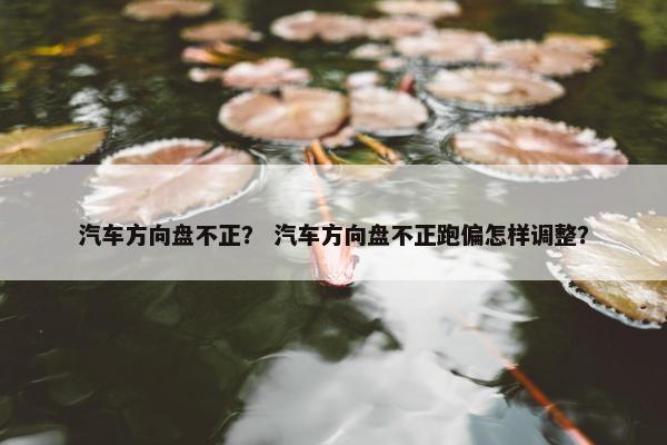 汽车方向盘不正？ 汽车方向盘不正跑偏怎样调整？