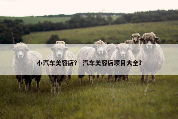 小汽车美容店？ 汽车美容店项目大全？