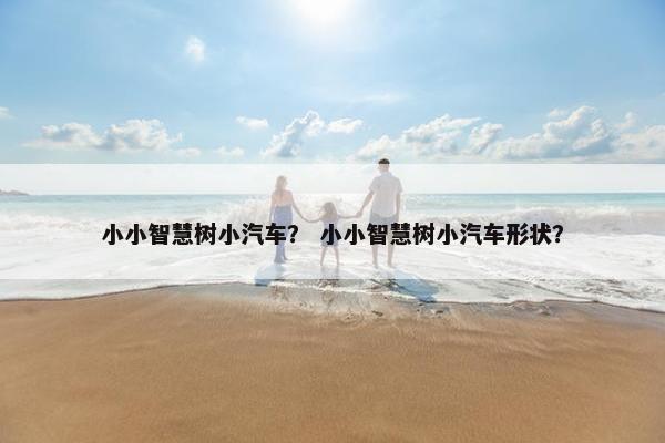 小小智慧树小汽车？ 小小智慧树小汽车形状？