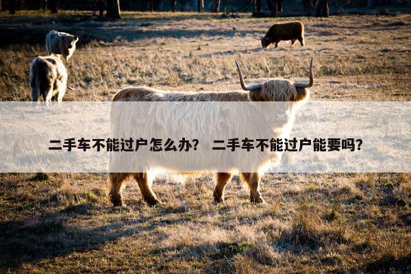 二手车不能过户怎么办？ 二手车不能过户能要吗？