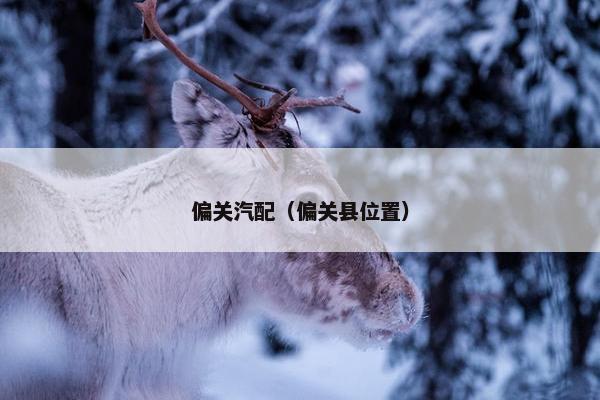 偏关汽配（偏关县位置）
