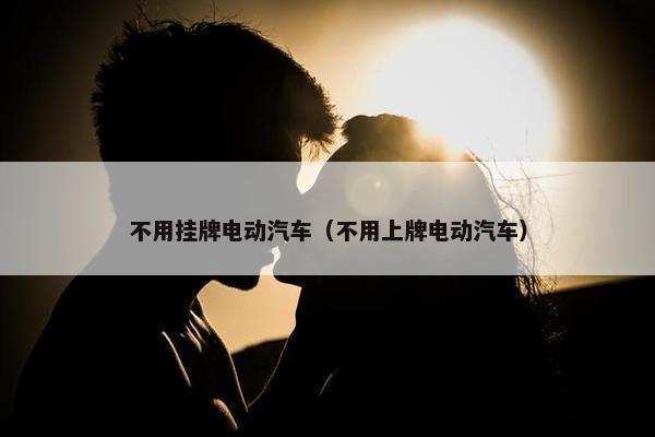 不用挂牌电动汽车（不用上牌电动汽车）