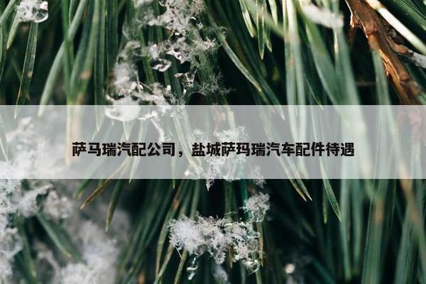 萨马瑞汽配公司，盐城萨玛瑞汽车配件待遇