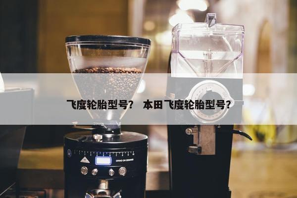 飞度轮胎型号？ 本田飞度轮胎型号？