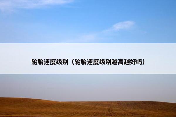 轮胎速度级别（轮胎速度级别越高越好吗）
