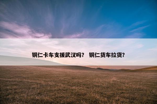铜仁卡车支援武汉吗？ 铜仁货车拉货？