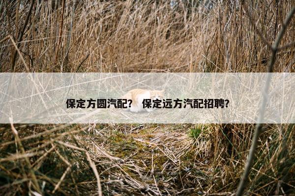 保定方圆汽配？ 保定远方汽配招聘？