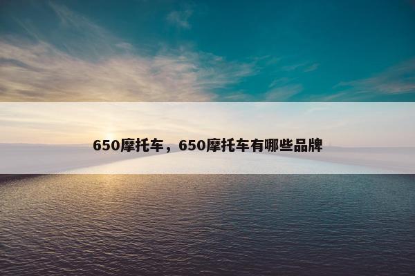 650摩托车，650摩托车有哪些品牌