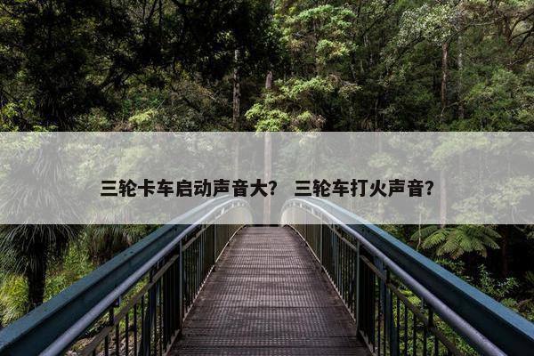 三轮卡车启动声音大？ 三轮车打火声音？