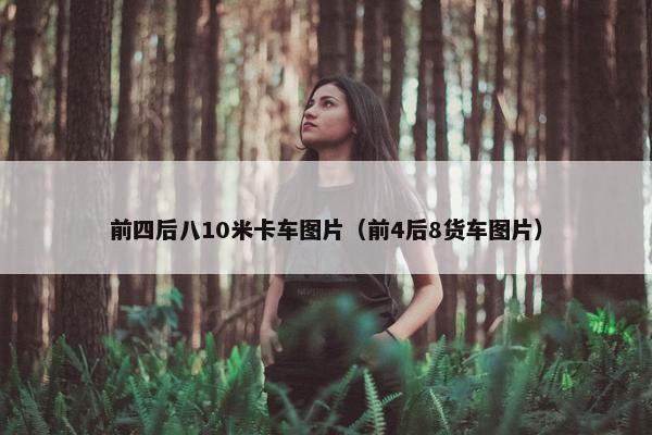 前四后八10米卡车图片（前4后8货车图片）