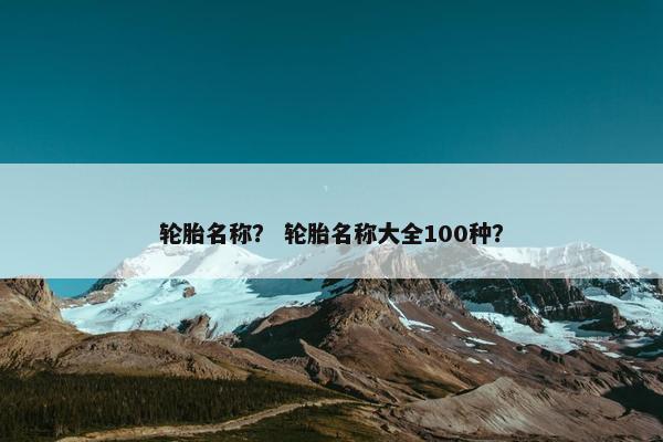 轮胎名称？ 轮胎名称大全100种？