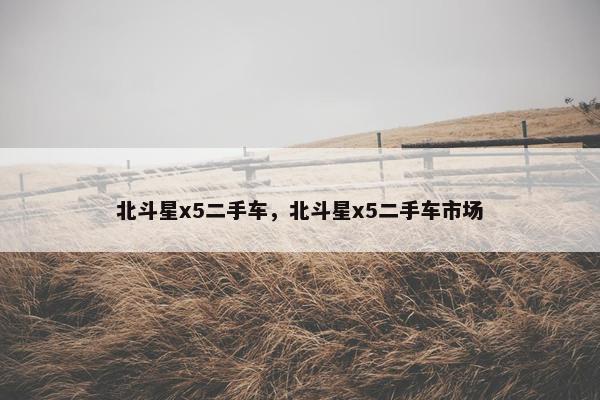 北斗星x5二手车，北斗星x5二手车市场