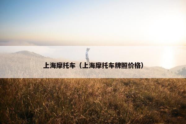 上海摩托车（上海摩托车牌照价格）