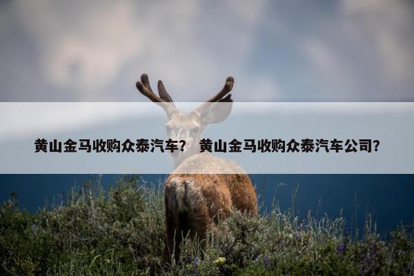 黄山金马收购众泰汽车？ 黄山金马收购众泰汽车公司？