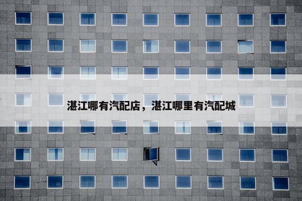 湛江哪有汽配店，湛江哪里有汽配城