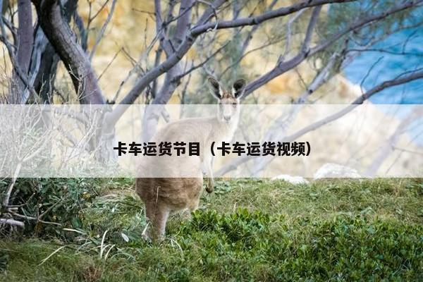 卡车运货节目（卡车运货视频）