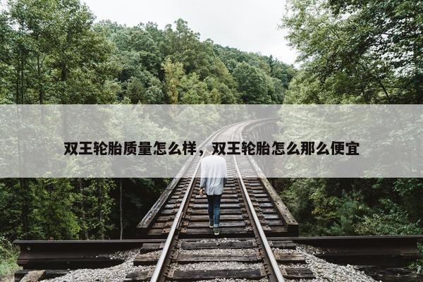 双王轮胎质量怎么样，双王轮胎怎么那么便宜