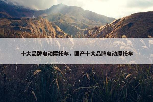十大品牌电动摩托车，国产十大品牌电动摩托车
