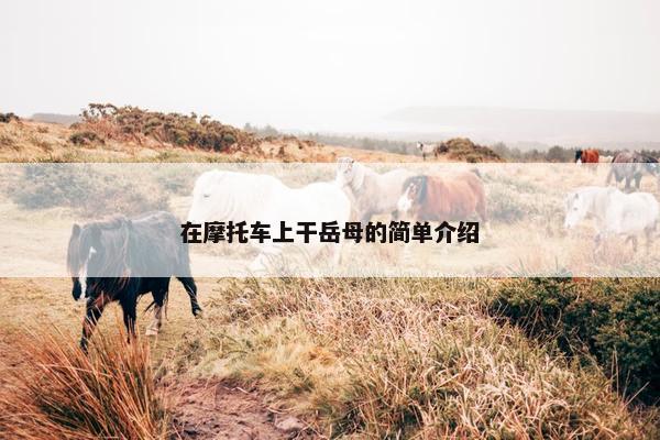 在摩托车上干岳母的简单介绍