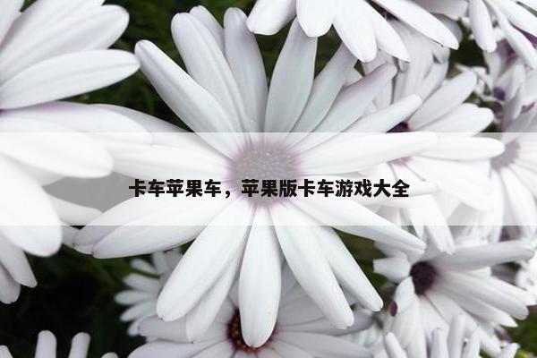 卡车苹果车，苹果版卡车游戏大全