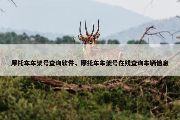 摩托车车架号查询软件，摩托车车架号在线查询车辆信息