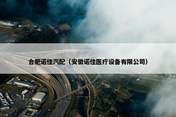 合肥诺佳汽配（安徽诺佳医疗设备有限公司）