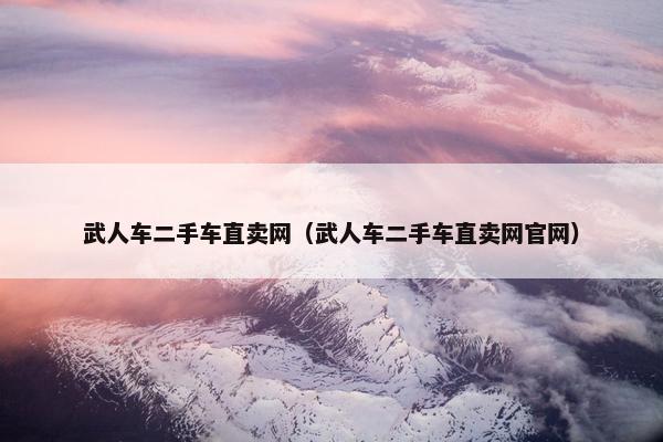 武人车二手车直卖网（武人车二手车直卖网官网）