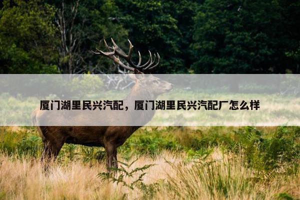 厦门湖里民兴汽配，厦门湖里民兴汽配厂怎么样