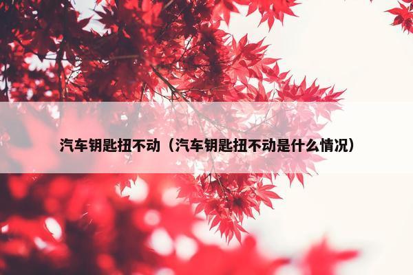 汽车钥匙扭不动（汽车钥匙扭不动是什么情况）