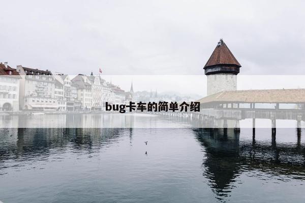 bug卡车的简单介绍