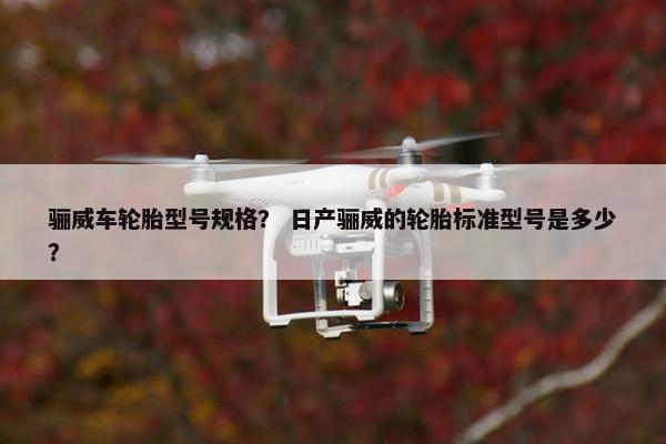 骊威车轮胎型号规格？ 日产骊威的轮胎标准型号是多少？