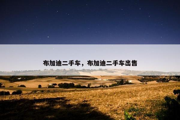 布加迪二手车，布加迪二手车出售