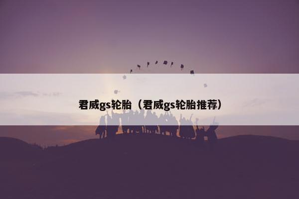 君威gs轮胎（君威gs轮胎推荐）