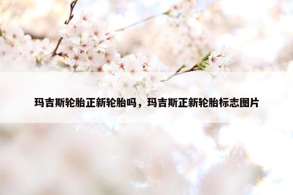 玛吉斯轮胎正新轮胎吗，玛吉斯正新轮胎标志图片