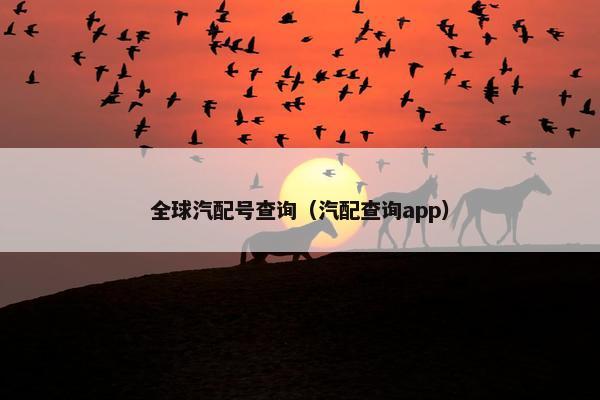 全球汽配号查询（汽配查询app）