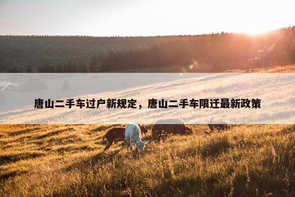 唐山二手车过户新规定，唐山二手车限迁最新政策