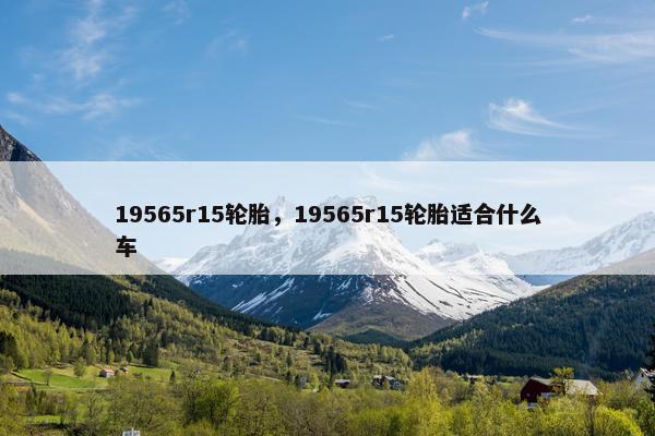 19565r15轮胎，19565r15轮胎适合什么车