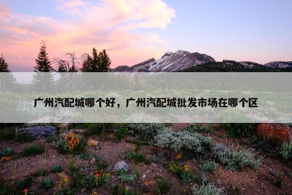广州汽配城哪个好，广州汽配城批发市场在哪个区