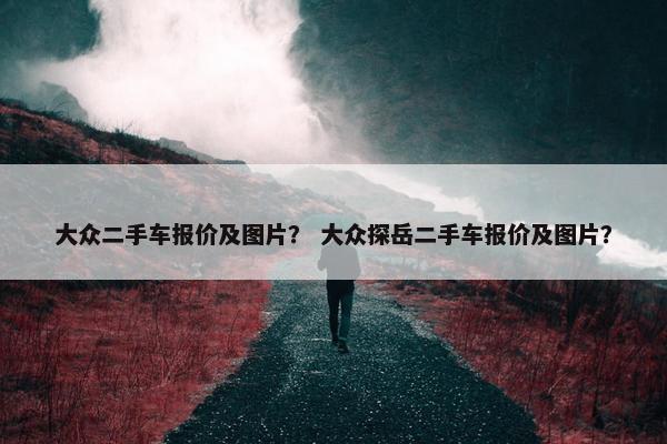 大众二手车报价及图片？ 大众探岳二手车报价及图片？