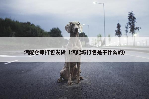 汽配仓库打包发货（汽配城打包是干什么的）
