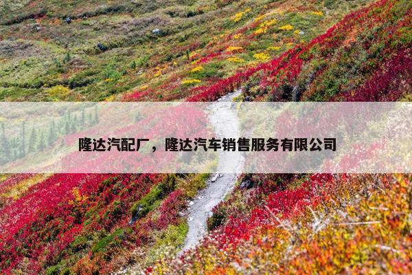 隆达汽配厂，隆达汽车销售服务有限公司