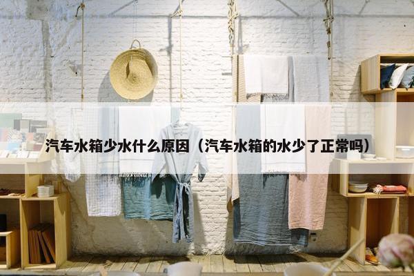 汽车水箱少水什么原因（汽车水箱的水少了正常吗）