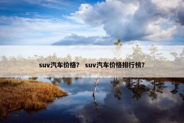 suv汽车价格？ suv汽车价格排行榜？